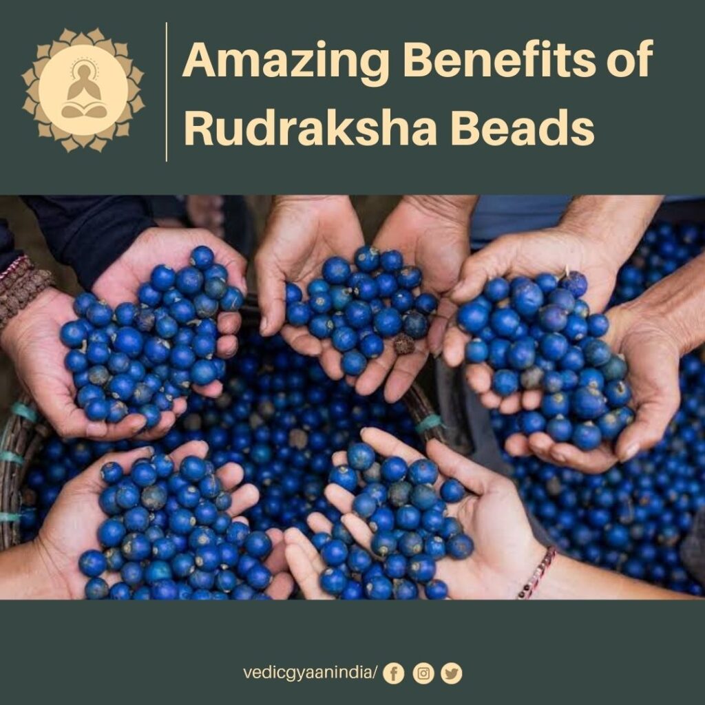 Amazing Benefits of Rudraksha Beads