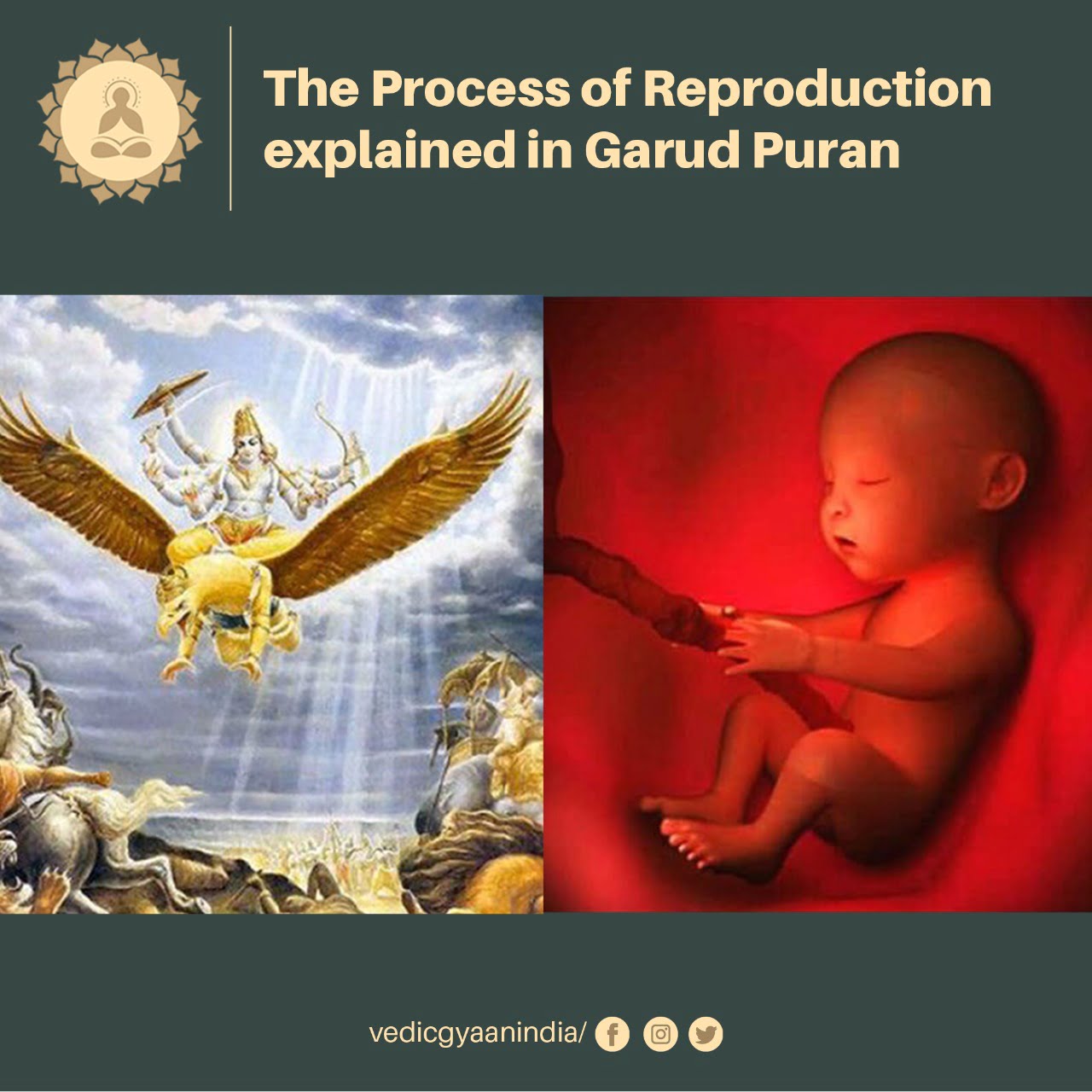 The Process of Reproduction explained in Garud Puran