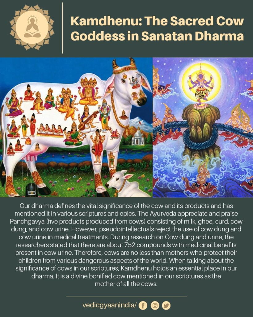 kamdhenu-the-sacred-and-pure-cow-mother